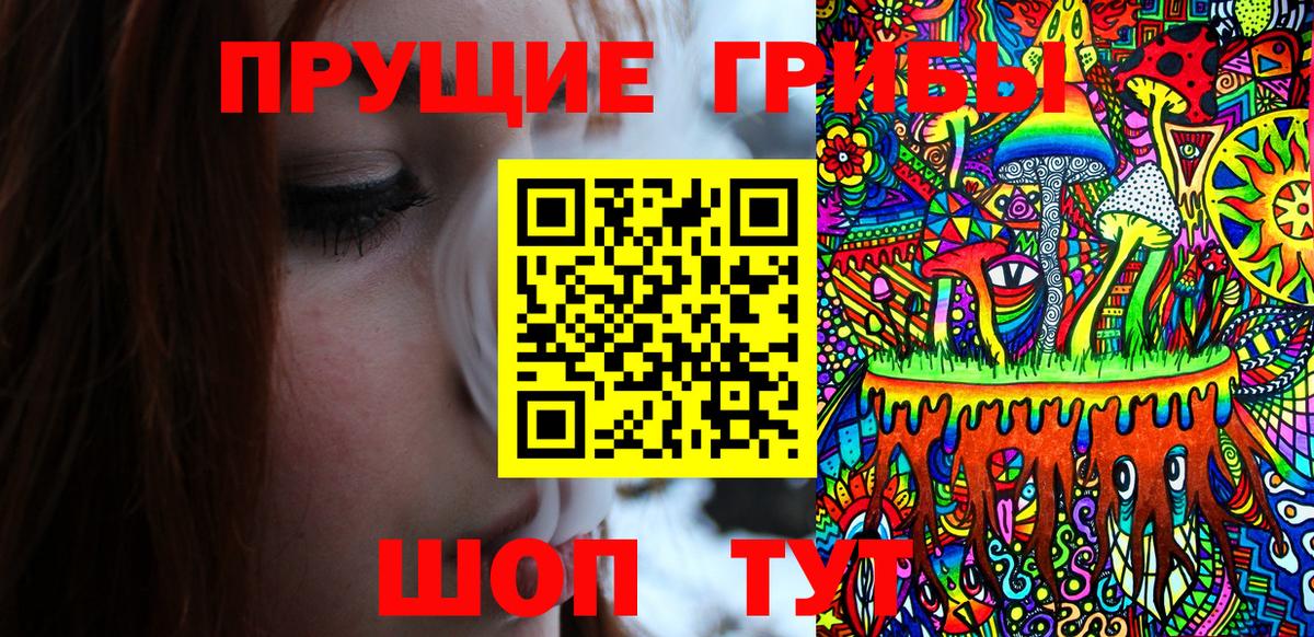 Псилоцибиновые грибы GOLDEN TEACHER Зеленогорск