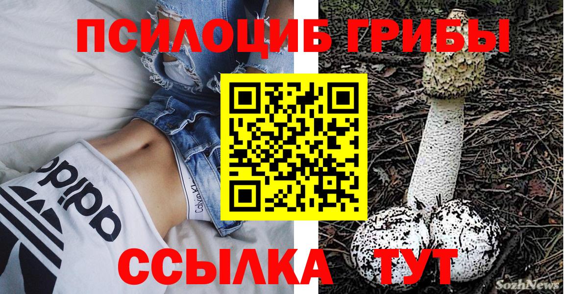 Псилоцибиновые грибы мицелий  Вход с VPN  Зеленогорск 